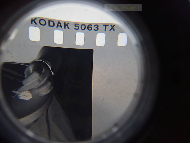 Kodak 5063 TX (C) Foto: David Laguillo