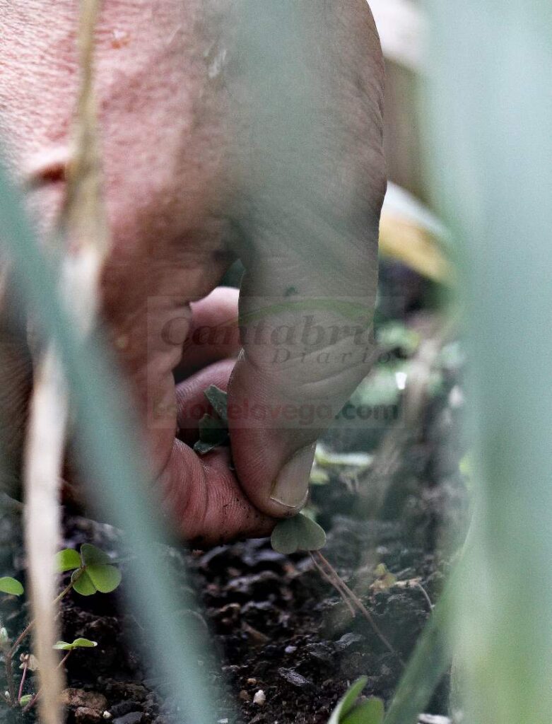 La Nota de Prensa es como una semilla que, bien cuidada, dará buenos frutos. Pero mal ejecutada hará más daño que bien. (C) Foto: David Laguillo